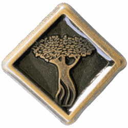 Etz Chaim Religious Emblem Pin