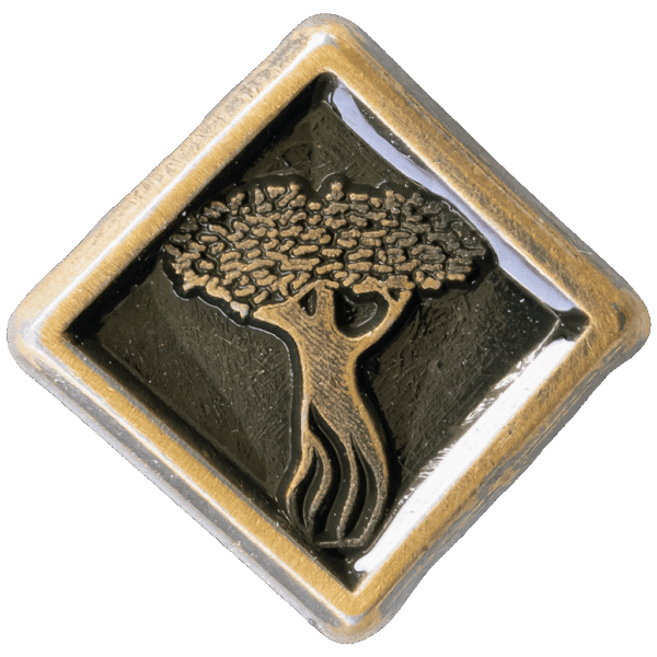 Etz Chaim Religious Emblem Pin