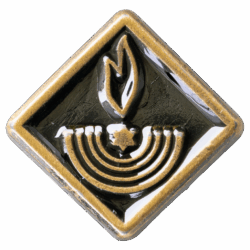 Maccabee Religious Emblem Pin