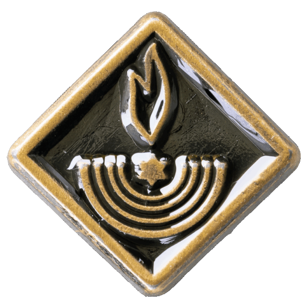 Maccabee Religious Emblem Pin